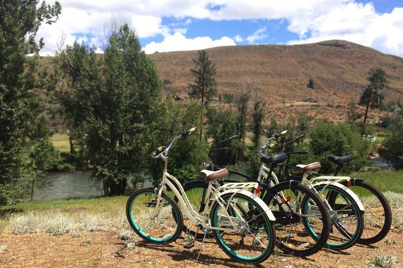 Bicycles parked on the lawn at Abbycreek Inn