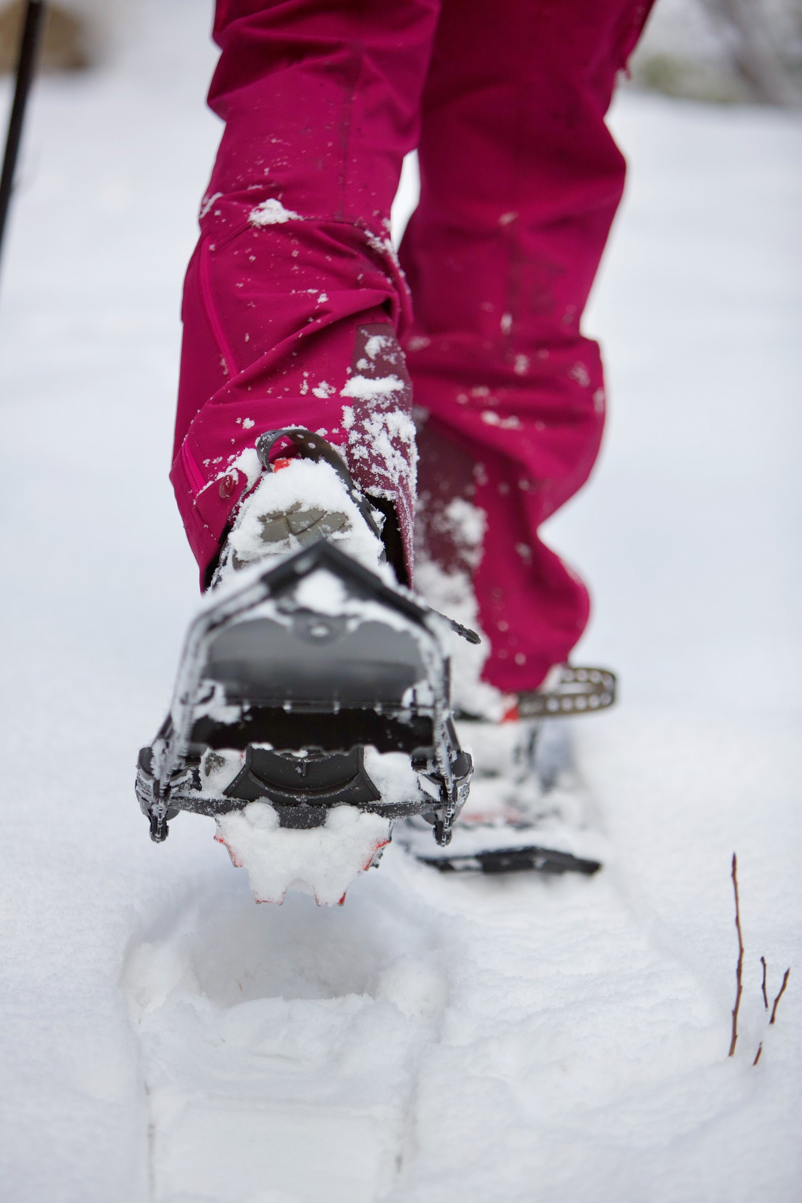 Snowshoes on fresh snow