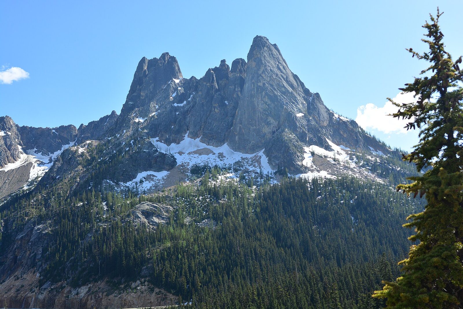 Liberty Bell Mountain rising above forest at Washington Pass on the North Cascades Highway
