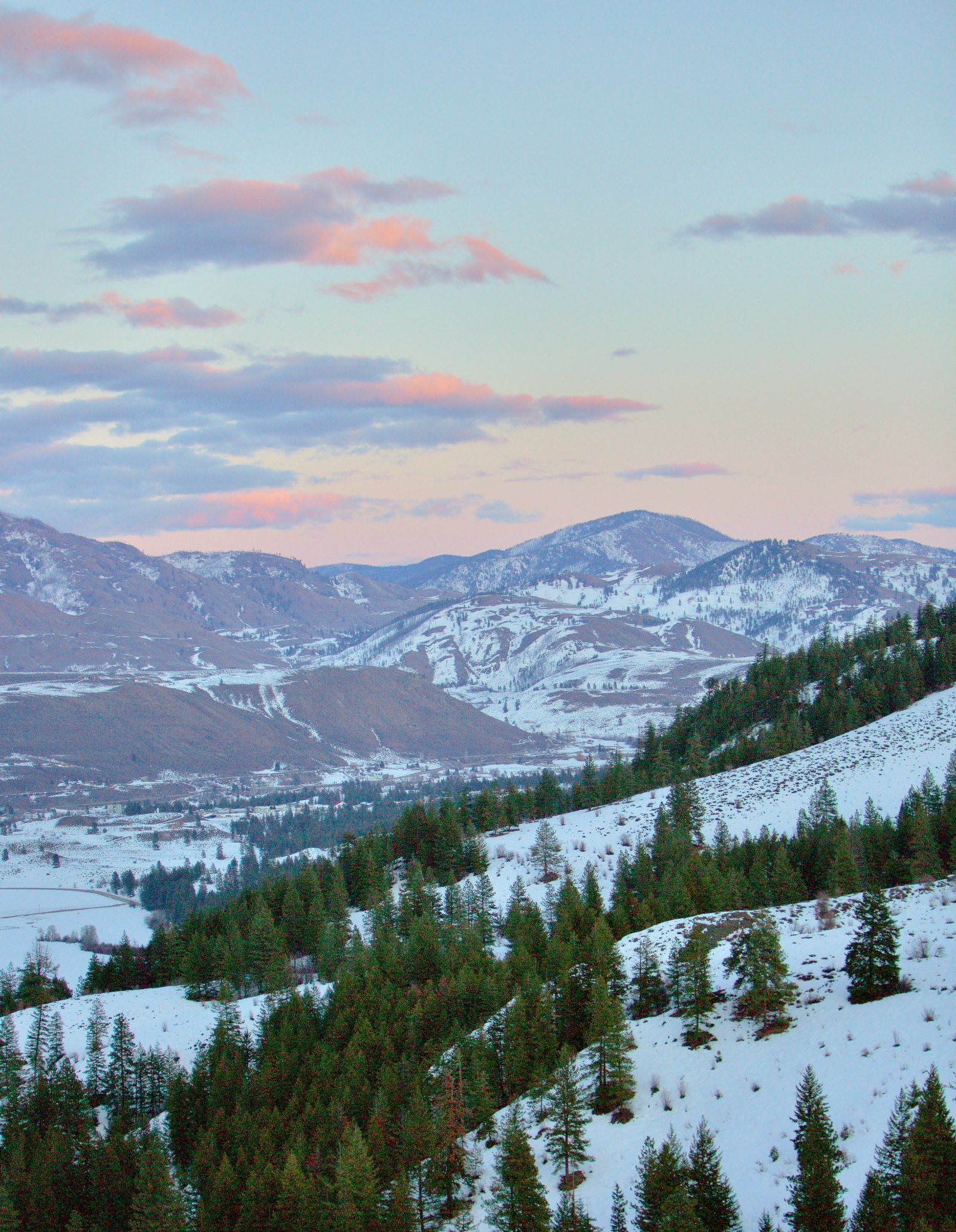 Snowy forested hillside below sunlit peaks in winter